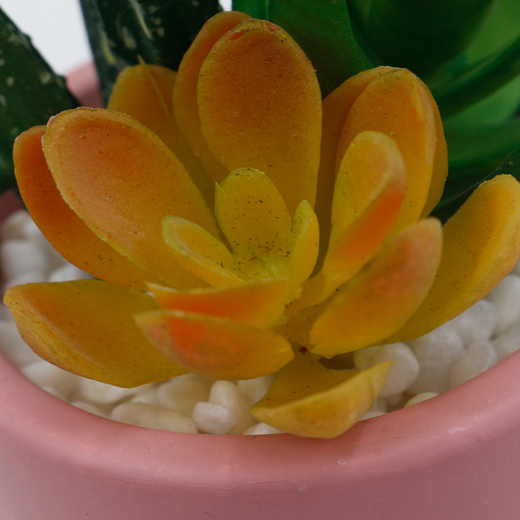 Meirui-Mini-Office-Decoration-Desktop-Faux-Artificial-Plants-Succulents-in-Ceramic-Pot (4).jpg 